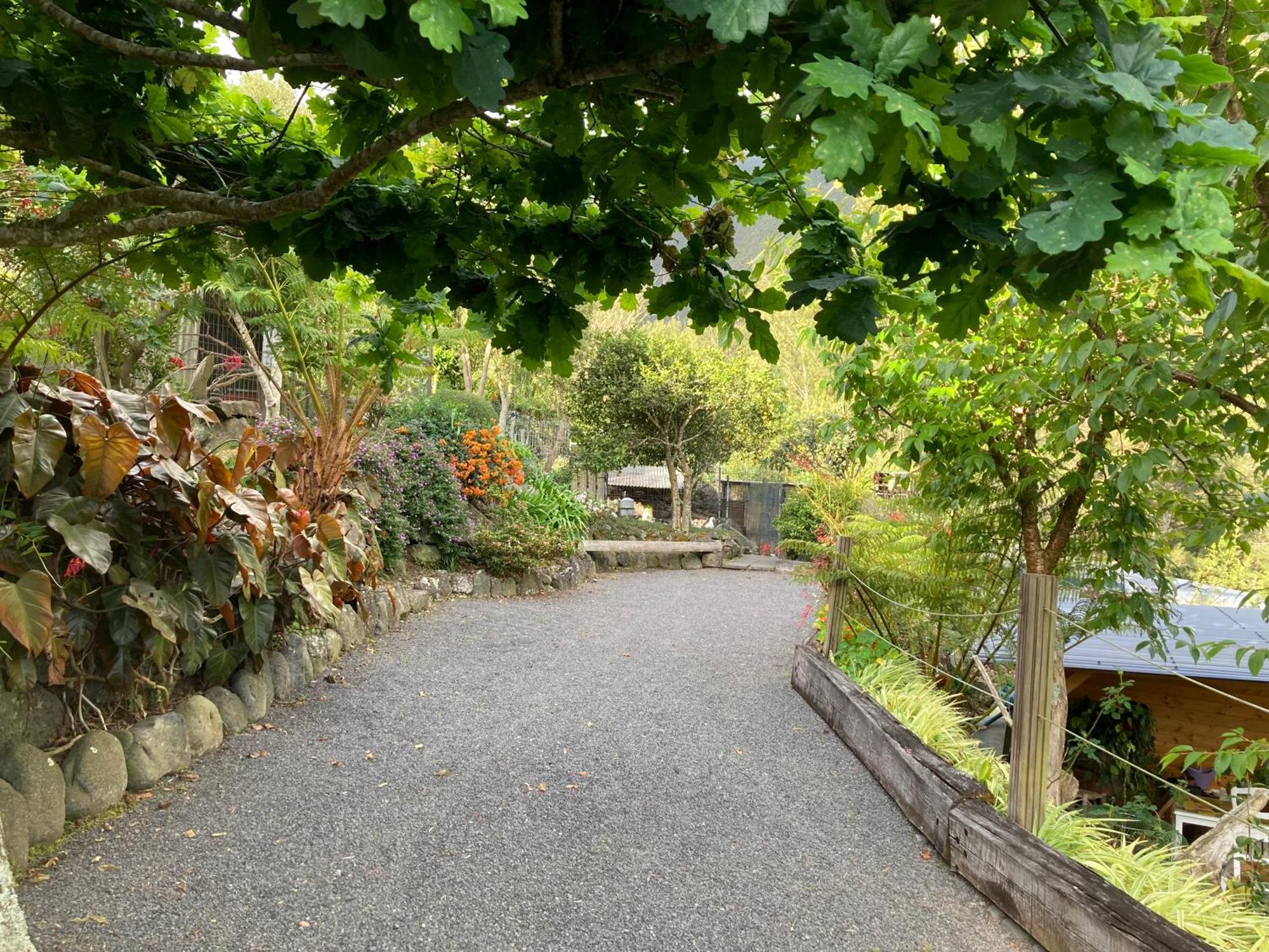 Les Begonias Villa Cilaos Exterior photo