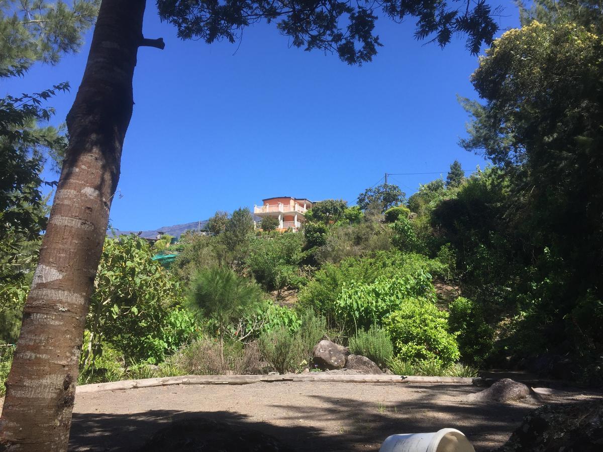 Les Begonias Villa Cilaos Exterior photo
